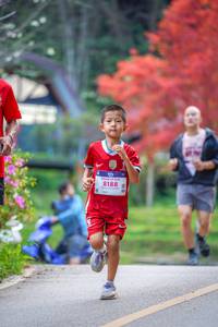 BIB: 8188
                            <button type="button" onclick="openModal(19239346)" class="btn btn-primary btn-sm float-right btn-popup" data-toggle="modal" data-target=".modal-high-quality">
                        <i class="fas fa-shopping-cart"></i> Add to Cart
                    </button>
                                            <button type="button" onclick="isThisMe(19239346, true)" class="btn btn-success btn-sm float-right btn-popup btn-isme hidden" data-toggle="tooltip" data-placement="bottom" title="นี่คือรูปของคุณใช่ไหม คลิกที่นี่เพื่อเอาเข้าอัลบั้ม">
                        <i class="fas fa-plus"></i> Add to album
                    </button>
                    <button type="button" onclick="isThisMe(19239346, false)" class="btn btn-warning btn-sm float-right btn-popup btn-isnotme hidden">
                        <i class="fas fa-ban"></i> Remove from album
                    </button>